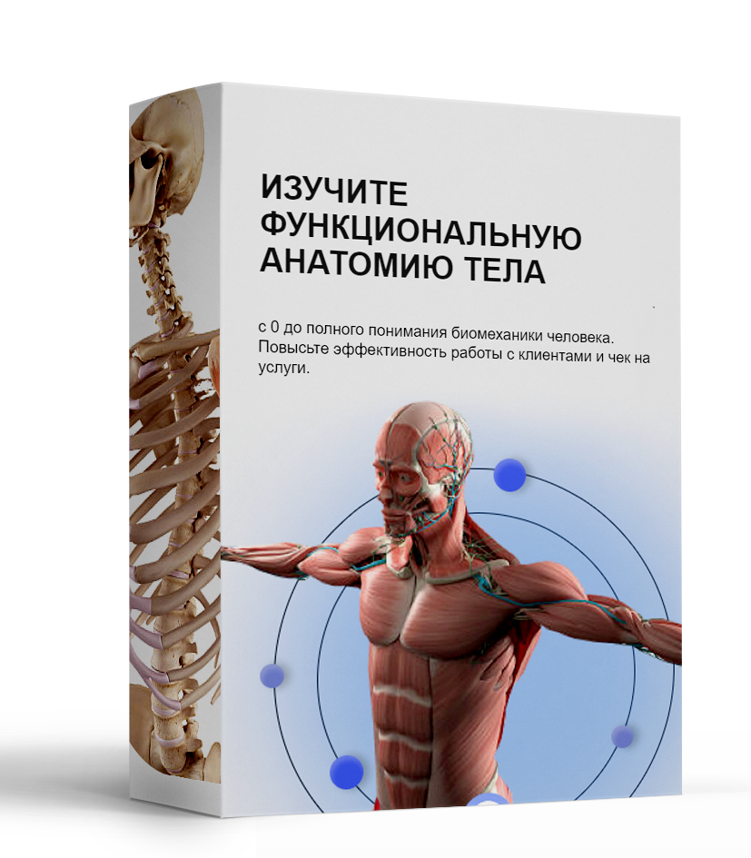 Экскурсия Функциональная анатомия